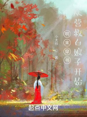 穿到明末的排行榜
