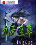 九天至尊txt